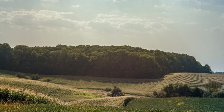 Економіка: Турецька компанія продала на Львівщині 3,5 тис. га землі. Хто купив