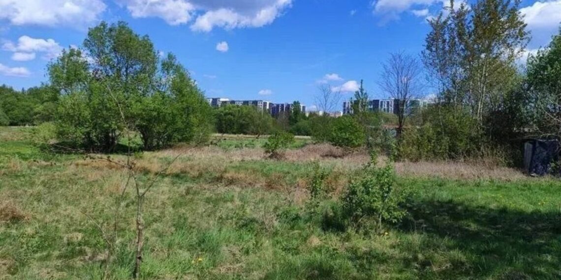 Економіка: У Малих Підлісках буде бізнесрайон, у Білогорщі – торгово-розважальний центр. Скільки коштує земля під забудову