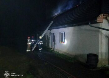 Власники помешкання прокинулися серед ночі: у Нижньому Солотвині горів будинок — Закарпаття