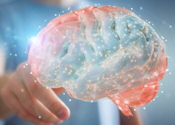 Коли людський мозок досягає піка своїх можливостей? Учені дали неочікувану відповідь