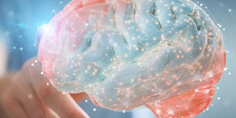 Коли людський мозок досягає піка своїх можливостей? Учені дали неочікувану відповідь