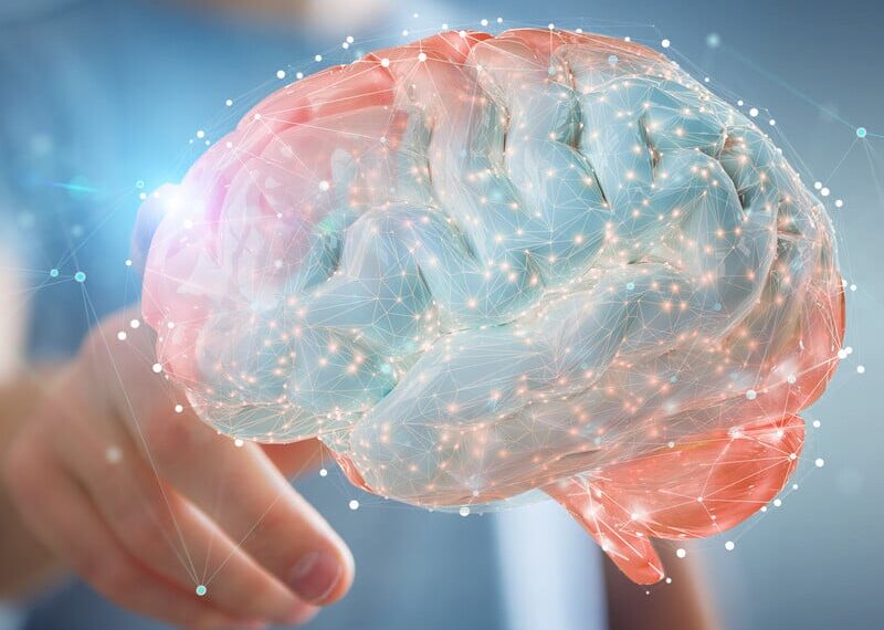 Коли людський мозок досягає піка своїх можливостей? Учені дали неочікувану відповідь