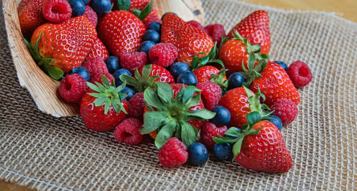 Міжнародна підтримка для аграріїв: закарпатські виробники отримали десятки мільйонів гривень