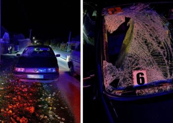 На Берегівщині під колесами авто загинула жінка (ФОТО)