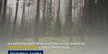 На Берегівщині прокуратура у суді вимагає узаконити 44,5 га самосійних лісів