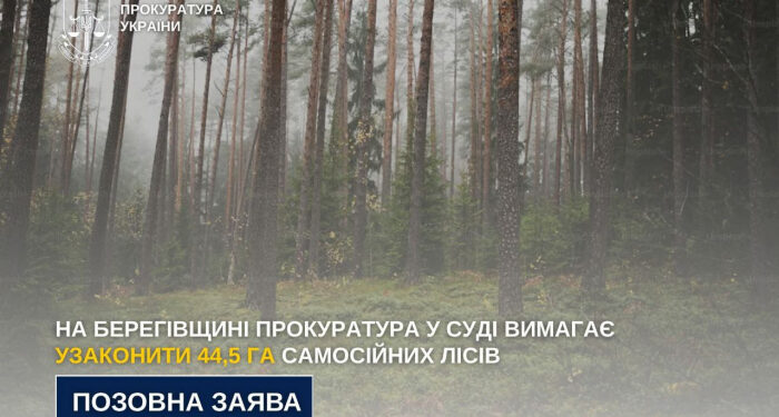 На Берегівщині прокуратура у суді вимагає узаконити 44,5 га самосійних лісів
