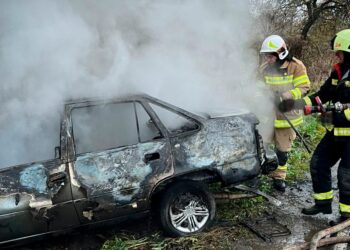 На Мукачівщині під час руху загорівся легковик (ФОТО)