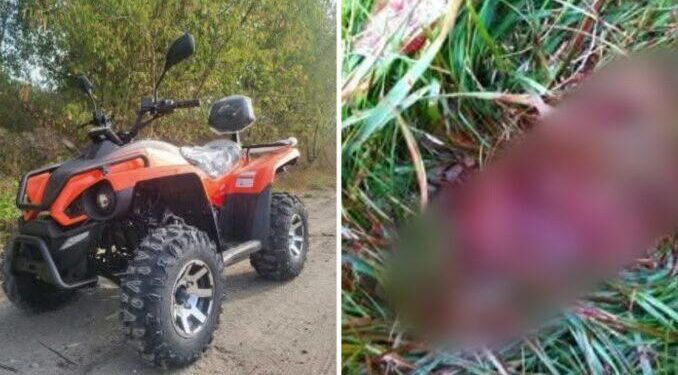 На Мукачівщині поліція перевіряє побиття місцевого мешканця інструктором квадротуру