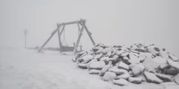 На високогір’ї Карпат випав перший сніг (ФОТО)