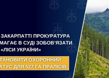 На Закарпатті прокуратура вимагає в суді зобов’язати ДП «Ліси України» встановити охоронний статус для 527 га пралісів