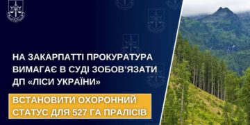 На Закарпатті прокуратура вимагає в суді зобов’язати ДП «Ліси України» встановити охоронний статус для 527 га пралісів
