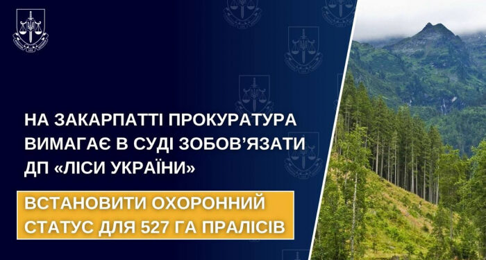 На Закарпатті прокуратура вимагає в суді зобов’язати ДП «Ліси України» встановити охоронний статус для 527 га пралісів