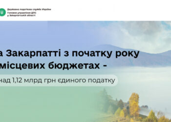 На Закарпатті з початку року у місцевих бюджетах – понад 1,12 млрд грн єдиного податку