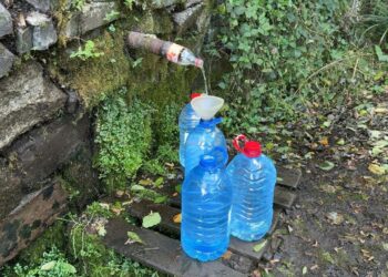 Непридатна для пиття: вода зі Срібного джерела на Закарпатті виявилася фекально забрудненою (ФОТО) –