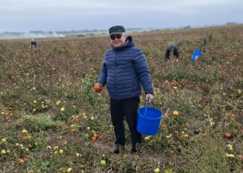 Новини України: У Польщі фермери безплатно віддають урожай