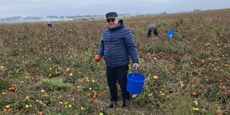 Новини України: У Польщі фермери безплатно віддають урожай
