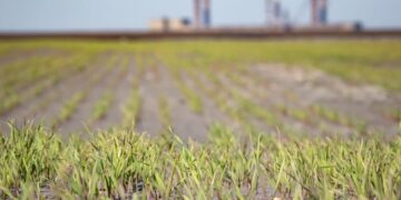 Один працівник у металургії створює до восьми робочих місць у суміжних галузях – “Метінвест”