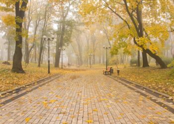 Прогноз погоди на 15 жовтня. Синоптики попереджають про небезпеку