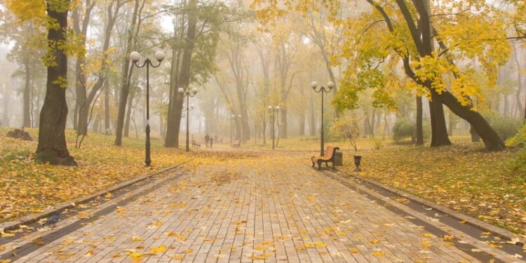 Прогноз погоди на 15 жовтня. Синоптики попереджають про небезпеку