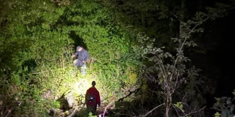 Рятувальники п’ять годин шукали заблукалого грибника на Ужгородщині (ФОТО)