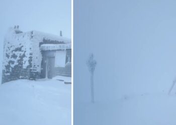 У Карпатах вирують снігові шторми: видимість обмежена, пориви вітру до 20 м/с