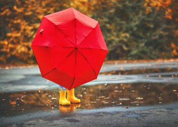 В Україні прогнозують дощі, грози й мокрий сніг