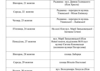 В Ужгороді безкоштовно щепитимуть домашніх котів та собак від сказу