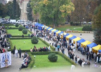 В Ужгороді стартував перший обласний фестиваль кар’єри «Платформа твоїх можливостей» –