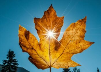 Прогнозують до +18 градусів: чи надовго в Закарпатті затримається тепло — Закарпаття