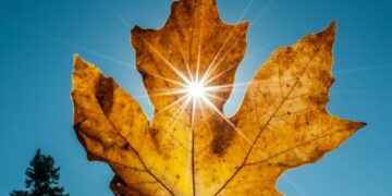 Прогнозують до +18 градусів: чи надовго в Закарпатті затримається тепло — Закарпаття