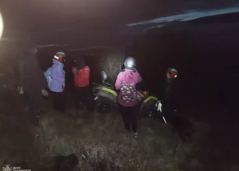 З трьома жінками та їх собакою в горах трапилась неприємна ситуація — Закарпаття