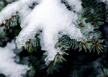 Метеоролог назвала дату, коли у листопаді різко похолодає та прийде сніг — Закарпаття