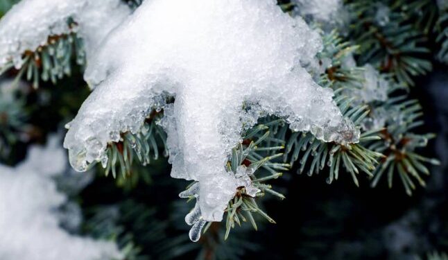 Метеоролог назвала дату, коли у листопаді різко похолодає та прийде сніг — Закарпаття