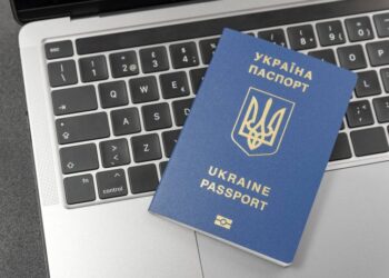 Для українців за кордоном надали пояснення, як зайти у «Дію» — Закарпаття