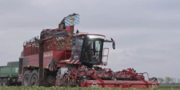 Holmer встановив світовий рекорд у збиранні цукрових буряків – Техніка