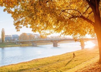 6 листопада на Закарпатті очікується суха погода з туманами