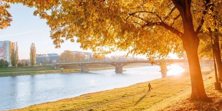 6 листопада на Закарпатті очікується суха погода з туманами