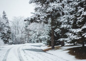 На область насувається негода. Прогнозують значні дощі, сніг і посилення вітру — Закарпаття