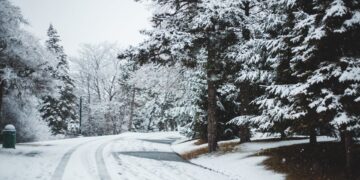 На область насувається негода. Прогнозують значні дощі, сніг і посилення вітру — Закарпаття