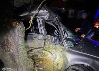 Авто врізалося в дерево: в Ужгороді у смертельній нічній автотрощі загинула 20-річна пасажирка –