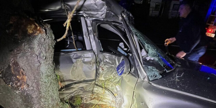 Авто врізалося в дерево: в Ужгороді у смертельній нічній автотрощі загинула 20-річна пасажирка –