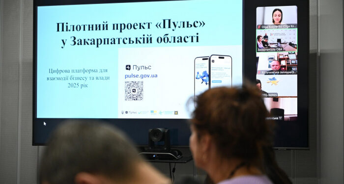 Цифрова платформа «Пульс» – зручний інструмент взаємодії бізнесу Закарпаття та влади