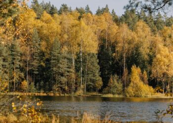 До +19 °С. Синоптики прогнозують аномально теплий початок листопада в Україні