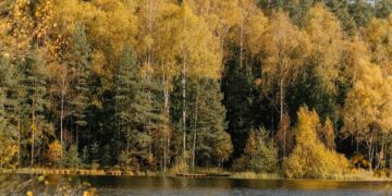 До +19 °С. Синоптики прогнозують аномально теплий початок листопада в Україні