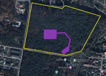 Економіка: Скільки дерев треба зрубати на 14 гектарах брюховицького лісу, щоб збудувати тут 45 котеджів і санаторій