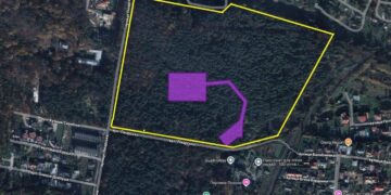 Економіка: Скільки дерев треба зрубати на 14 гектарах брюховицького лісу, щоб збудувати тут 45 котеджів і санаторій