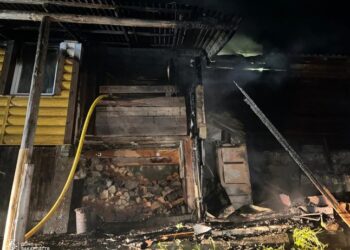 Вогнеборці розповіли про пожежу, яку гасили вночі у селі — Закарпаття