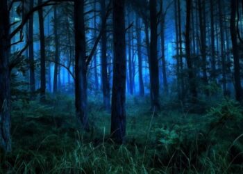 В Ужгородському районі зникли два чоловіки: що трапилось — Закарпаття