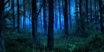 В Ужгородському районі зникли два чоловіки: що трапилось — Закарпаття