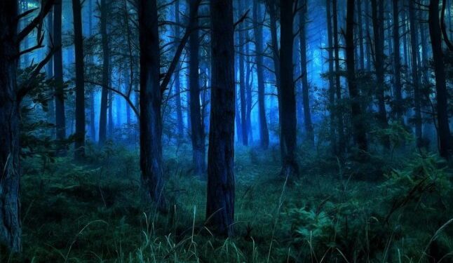 В Ужгородському районі зникли два чоловіки: що трапилось — Закарпаття